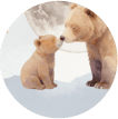 Mama baby Bear