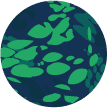 DrachenbezwingBaer