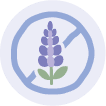 Allergy Lupin