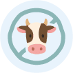 Allergy Milk