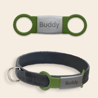 Targhetta personalizzata per cani e gatti