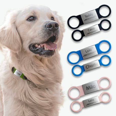 Targhetta personalizzata per cani e gatti
