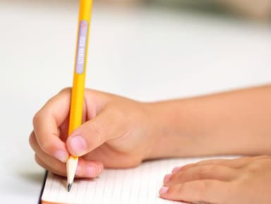 Pacchetto Etichette scuola XXL