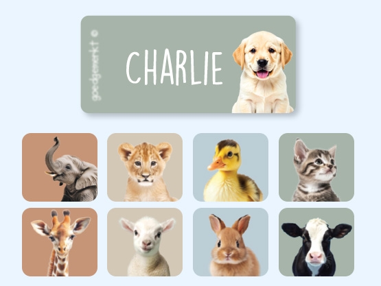 Adesivi per abbigliamento con sfondo reale