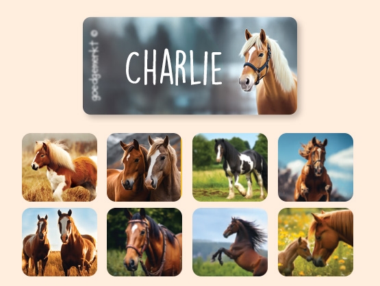 Adesivi per abbigliamento con sfondo reale