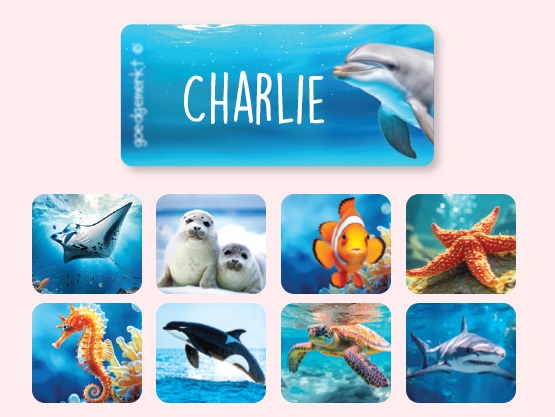 Adesivi per abbigliamento con sfondo reale