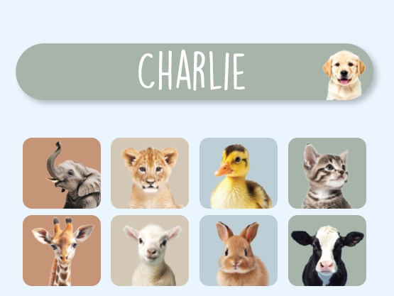 Mini Etichette effetto Mondo Reale