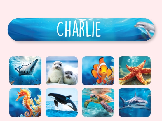 Mini Etichette effetto Mondo Reale