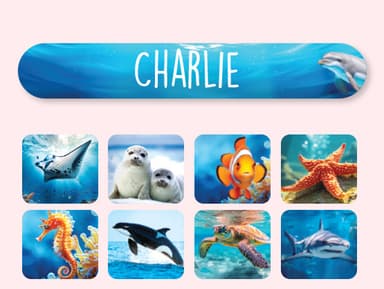 Mini Etichette effetto Mondo Reale